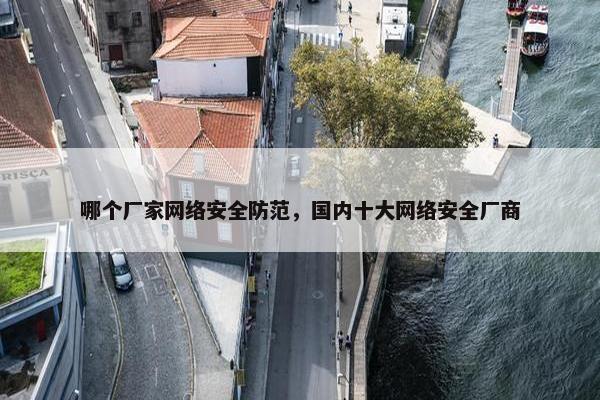 哪个厂家网络安全防范，国内十大网络安全厂商