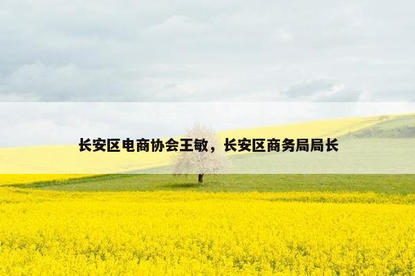 长安区电商协会王敏，长安区商务局局长