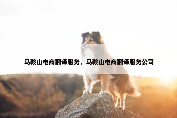 马鞍山电商翻译服务，马鞍山电商翻译服务公司