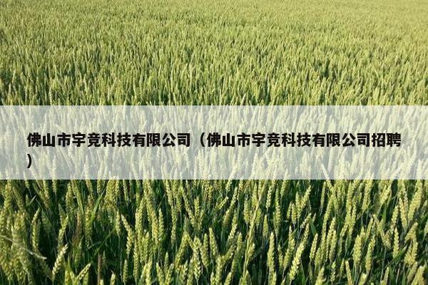 佛山市宇竞科技有限公司（佛山市宇竞科技有限公司招聘）