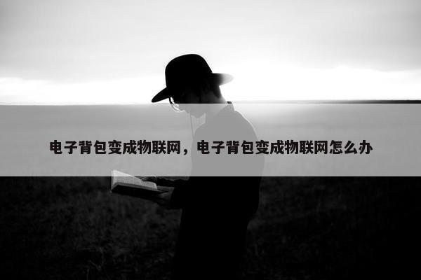 电子背包变成物联网，电子背包变成物联网怎么办