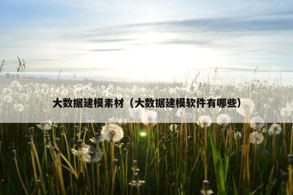 大数据建模素材（大数据建模软件有哪些）