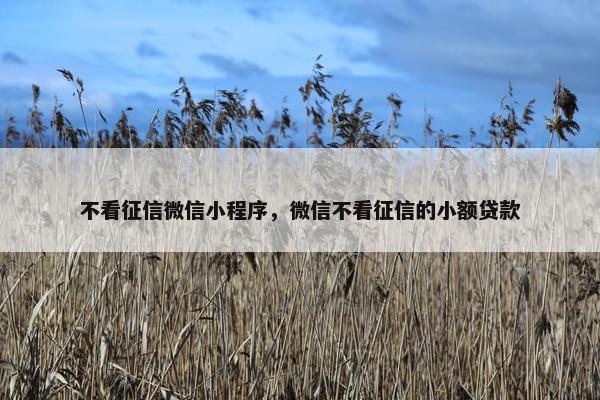 不看征信微信小程序，微信不看征信的小额贷款