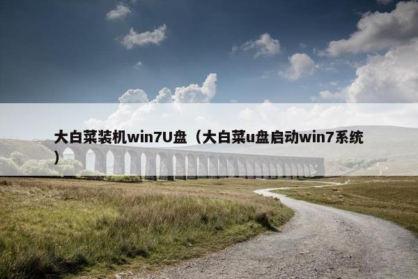 大白菜装机win7U盘（大白菜u盘启动win7系统）