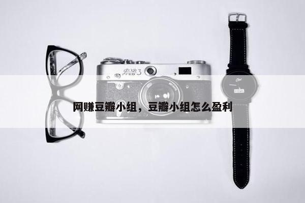网赚豆瓣小组，豆瓣小组怎么盈利