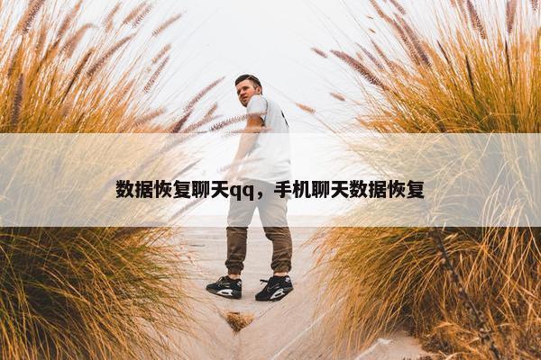 数据恢复聊天qq，手机聊天数据恢复