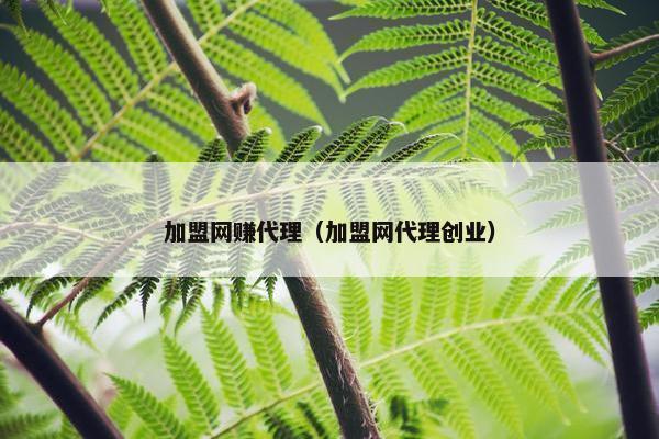 加盟网赚代理（加盟网代理创业）