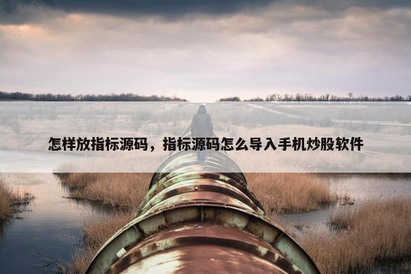 怎样放指标源码，指标源码怎么导入手机炒股软件