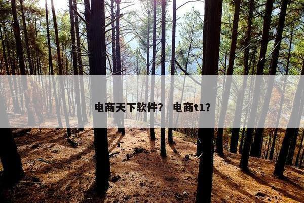 电商天下软件？ 电商t1？