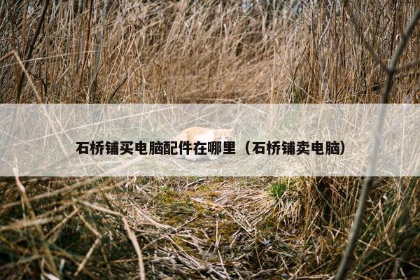 石桥铺买电脑配件在哪里（石桥铺卖电脑）