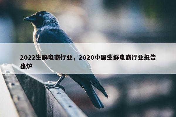 2022生鲜电商行业，2020中国生鲜电商行业报告出炉
