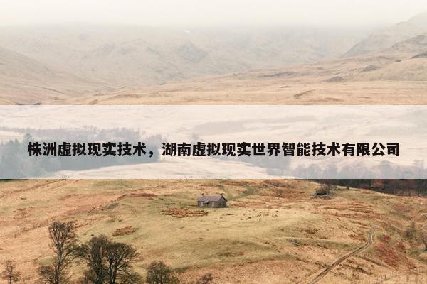 株洲虚拟现实技术，湖南虚拟现实世界智能技术有限公司