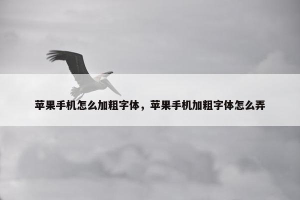 苹果手机怎么加粗字体，苹果手机加粗字体怎么弄