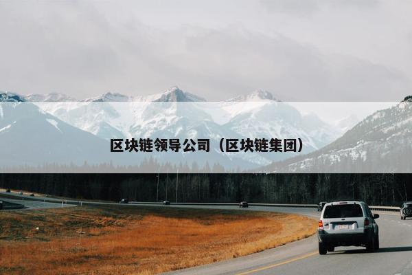 区块链领导公司（区块链集团）
