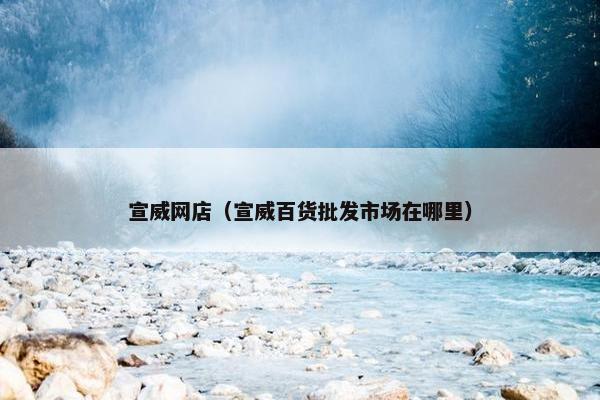 宣威网店（宣威百货批发市场在哪里）