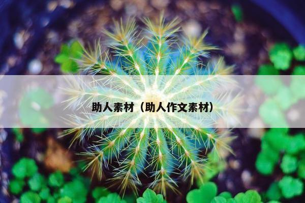 助人素材（助人作文素材）
