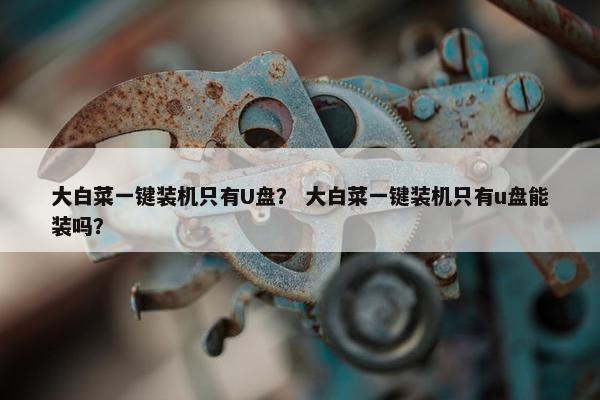 大白菜一键装机只有U盘？ 大白菜一键装机只有u盘能装吗？