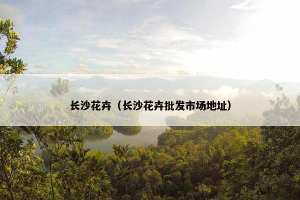 长沙花卉（长沙花卉批发市场地址）