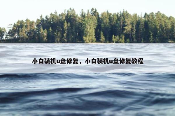 小白装机u盘修复，小白装机u盘修复教程