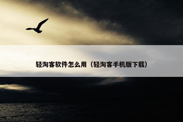 轻淘客软件怎么用（轻淘客手机版下载）