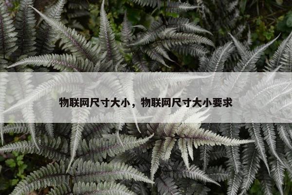 物联网尺寸大小，物联网尺寸大小要求