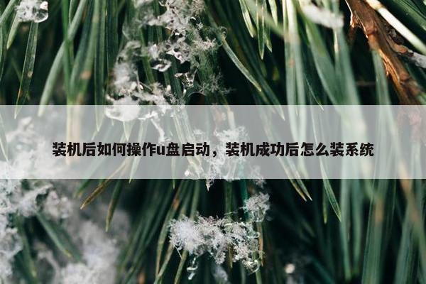 装机后如何操作u盘启动，装机成功后怎么装系统