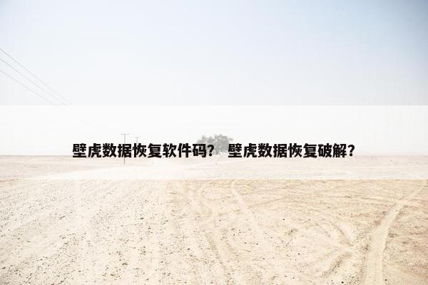 壁虎数据恢复软件码？ 壁虎数据恢复破解？