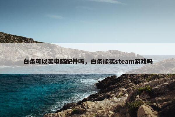 白条可以买电脑配件吗，白条能买steam游戏吗