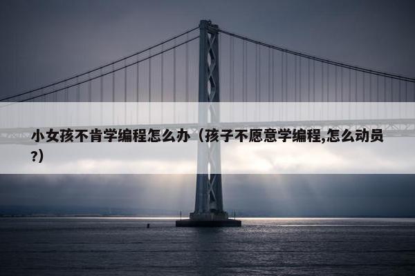 小女孩不肯学编程怎么办（孩子不愿意学编程,怎么动员?）