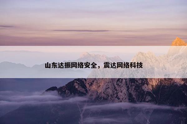 山东达振网络安全，震达网络科技