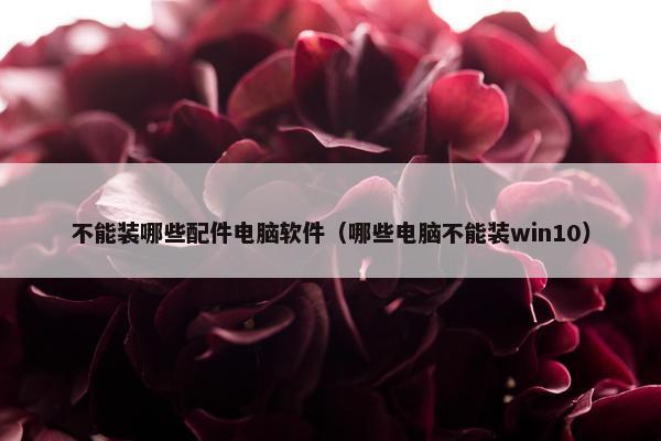 不能装哪些配件电脑软件（哪些电脑不能装win10）