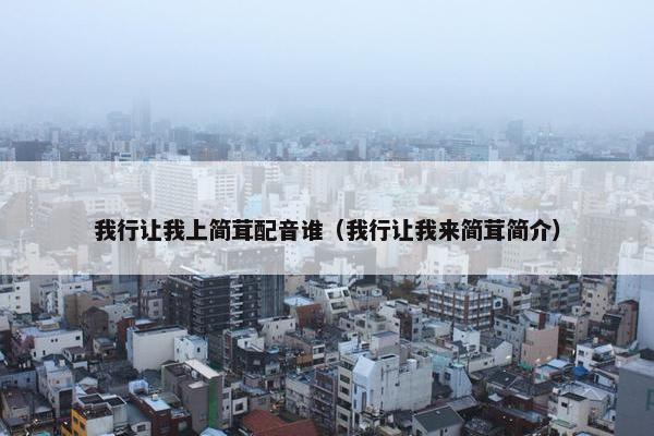 我行让我上简茸配音谁（我行让我来简茸简介）