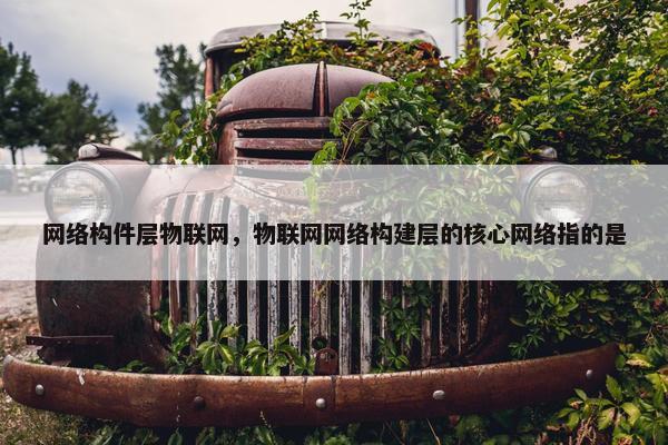 网络构件层物联网，物联网网络构建层的核心网络指的是