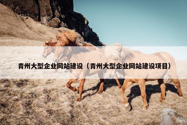 青州大型企业网站建设（青州大型企业网站建设项目）