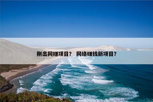 刚出网赚项目？ 网络赚钱新项目？