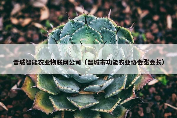 晋城智能农业物联网公司（晋城市功能农业协会张会长）