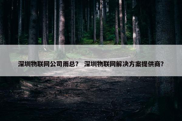 深圳物联网公司雨总？ 深圳物联网解决方案提供商？