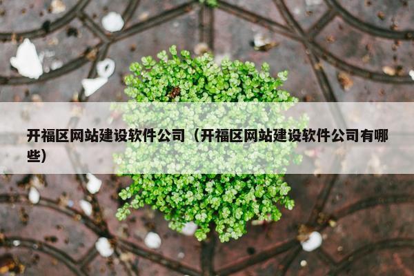 开福区网站建设软件公司（开福区网站建设软件公司有哪些）