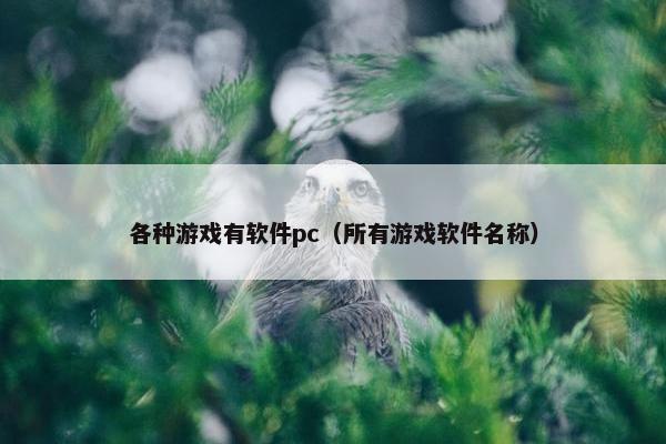 各种游戏有软件pc（所有游戏软件名称）