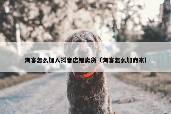 淘客怎么加入抖音店铺卖货（淘客怎么加商家）