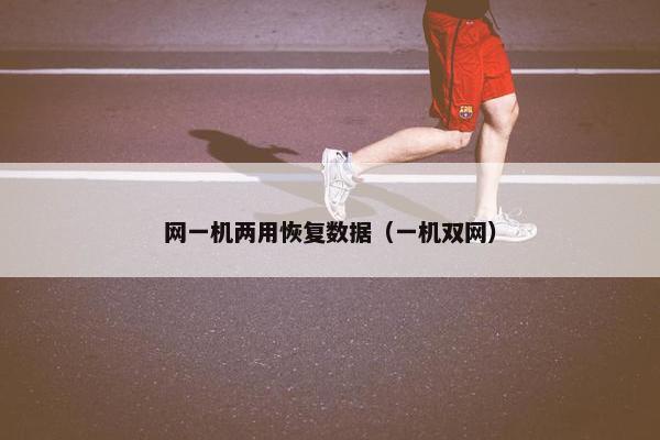 网一机两用恢复数据（一机双网）