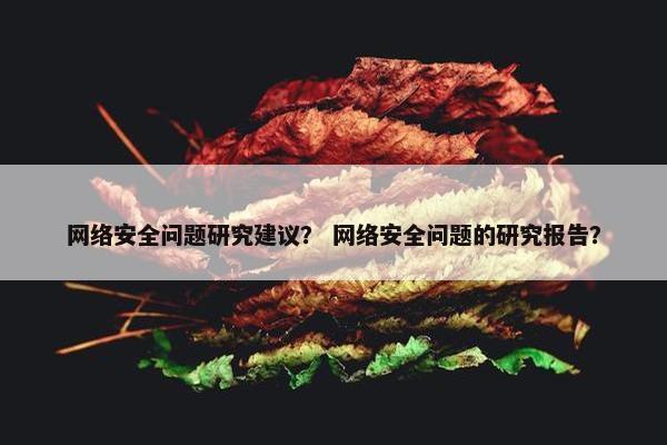 网络安全问题研究建议？ 网络安全问题的研究报告？