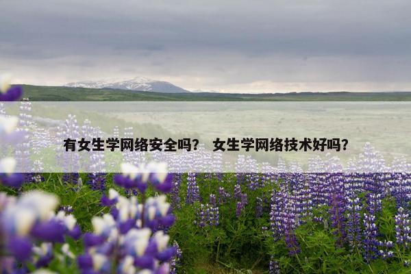 有女生学网络安全吗？ 女生学网络技术好吗？