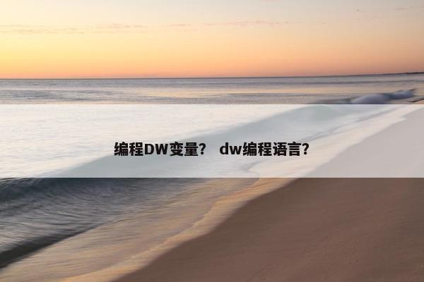 编程DW变量？ dw编程语言？
