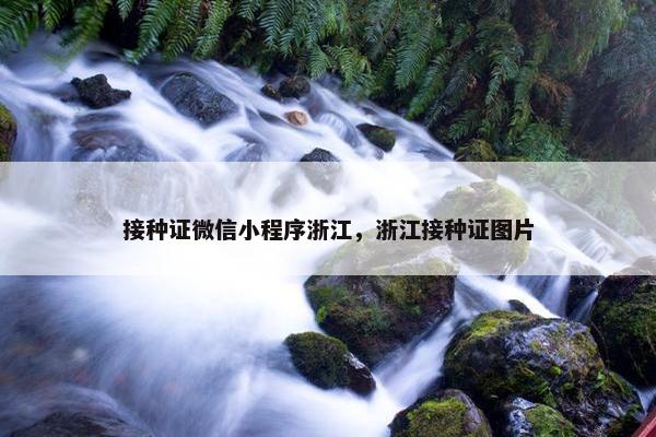 接种证微信小程序浙江，浙江接种证图片