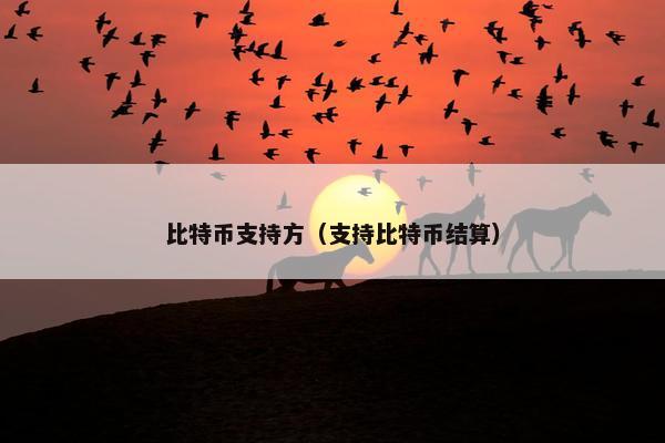 比特币支持方（支持比特币结算）