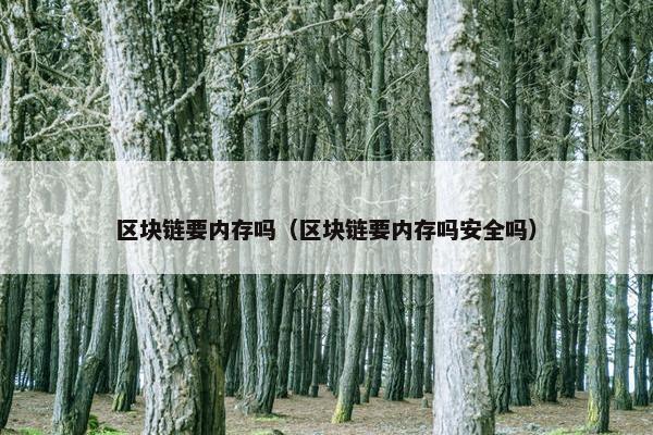区块链要内存吗（区块链要内存吗安全吗）