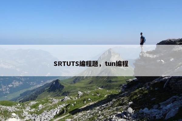 SRTUTS编程题，tun编程