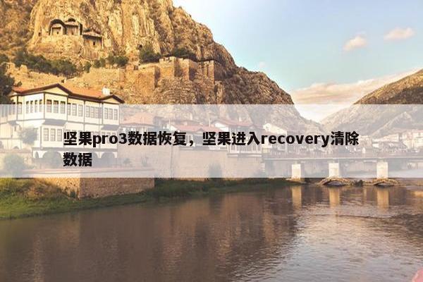 坚果pro3数据恢复，坚果进入recovery清除数据
