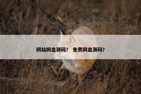 网站网盘源码？ 免费网盘源码？